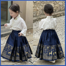 NEW Summer Chinese Hanfu Dress Girls Traditional Embroidery Horse-face Skirt