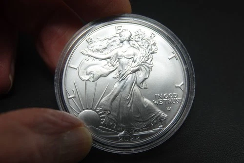 2022 american silver eagle 1oz bullion coin
