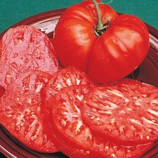 TOMATO VEGETABLE SEEDS 25 Fresh Brandywine Tomato Vegetable Garden Seeds