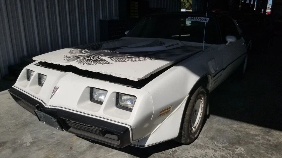 1981 PONTIAC FIREBIRD TRANS-AM HEATED REAR BACK GLASS WINDOW - Изображение 2 из 4