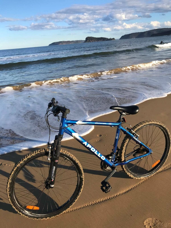 child bike trailer gumtree