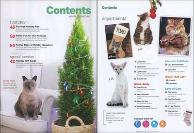Catster 2023, January Ways to De-Stress Your Cat, Great