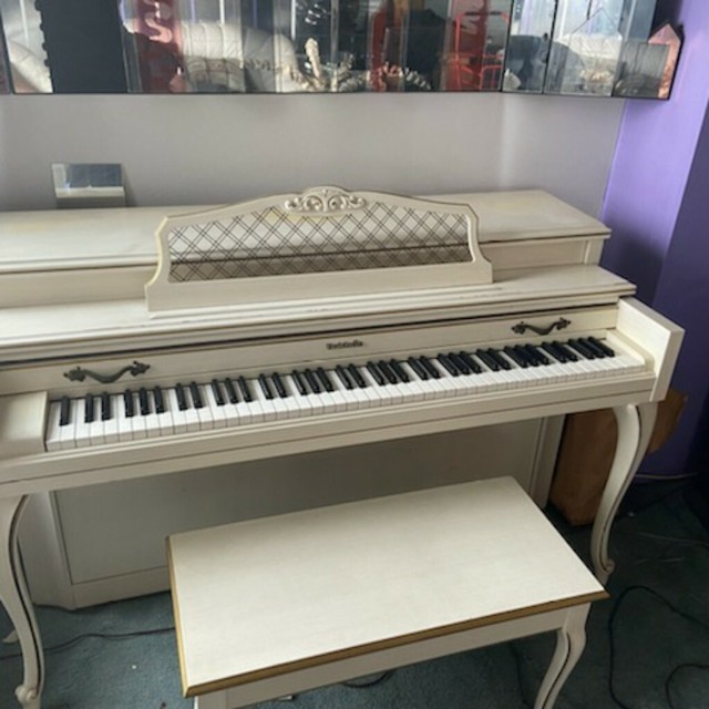 ebay pianos for sale baby grand