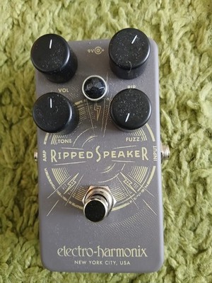 EH Ripped Speaker