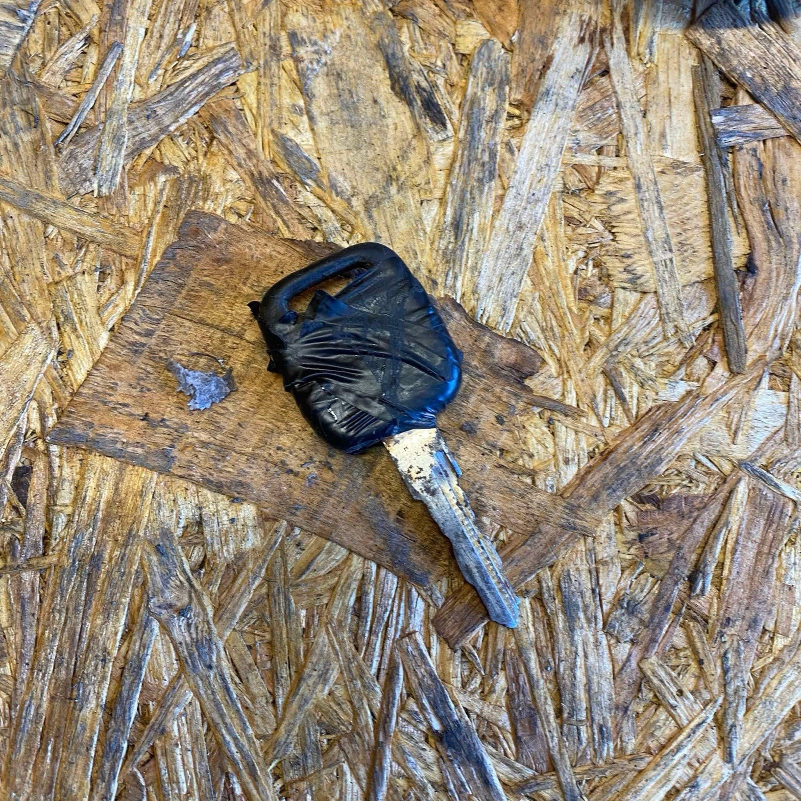Picture 6 of 11