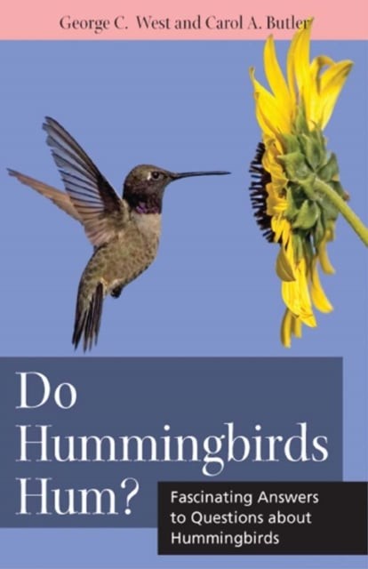 Do Hummingbirds Hum? – Fascinating Answers to Questions about Hummingbirds West