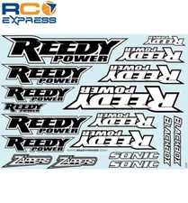 Associated Reedy 2020 Decal Sheet ASC727