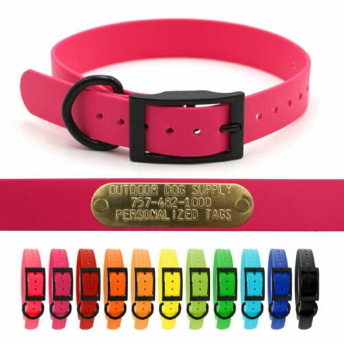 SoftFlex 1 D Ring Black Hardware Dog Collar with Custom Brass Name Plate  Tag