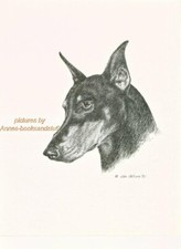 #8 DOBERMAN PINSCHER dobi retrato arte de perro * pluma y tinta Jan Jellins
