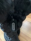 Bild 11 von 12
