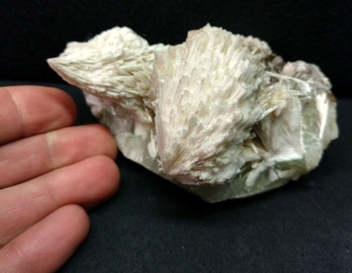 Colorful 3.75" Green Apophyllite with Scolecite - Aurangabad, India IN1213 - Picture 2 of 7
