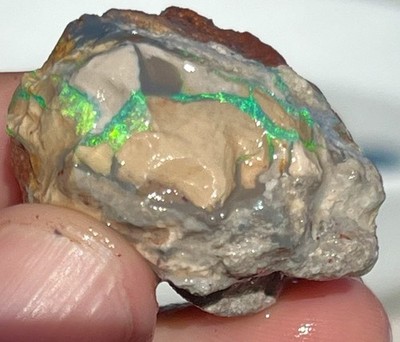 Opal Shell Fossil Lightning Ridge Australia Fossils Crystal Aqua Turquoise Gem