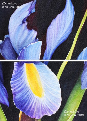 Original Watercolor Painting Dutch Iris Flower Botanical Portrait - Picture 2 of 4