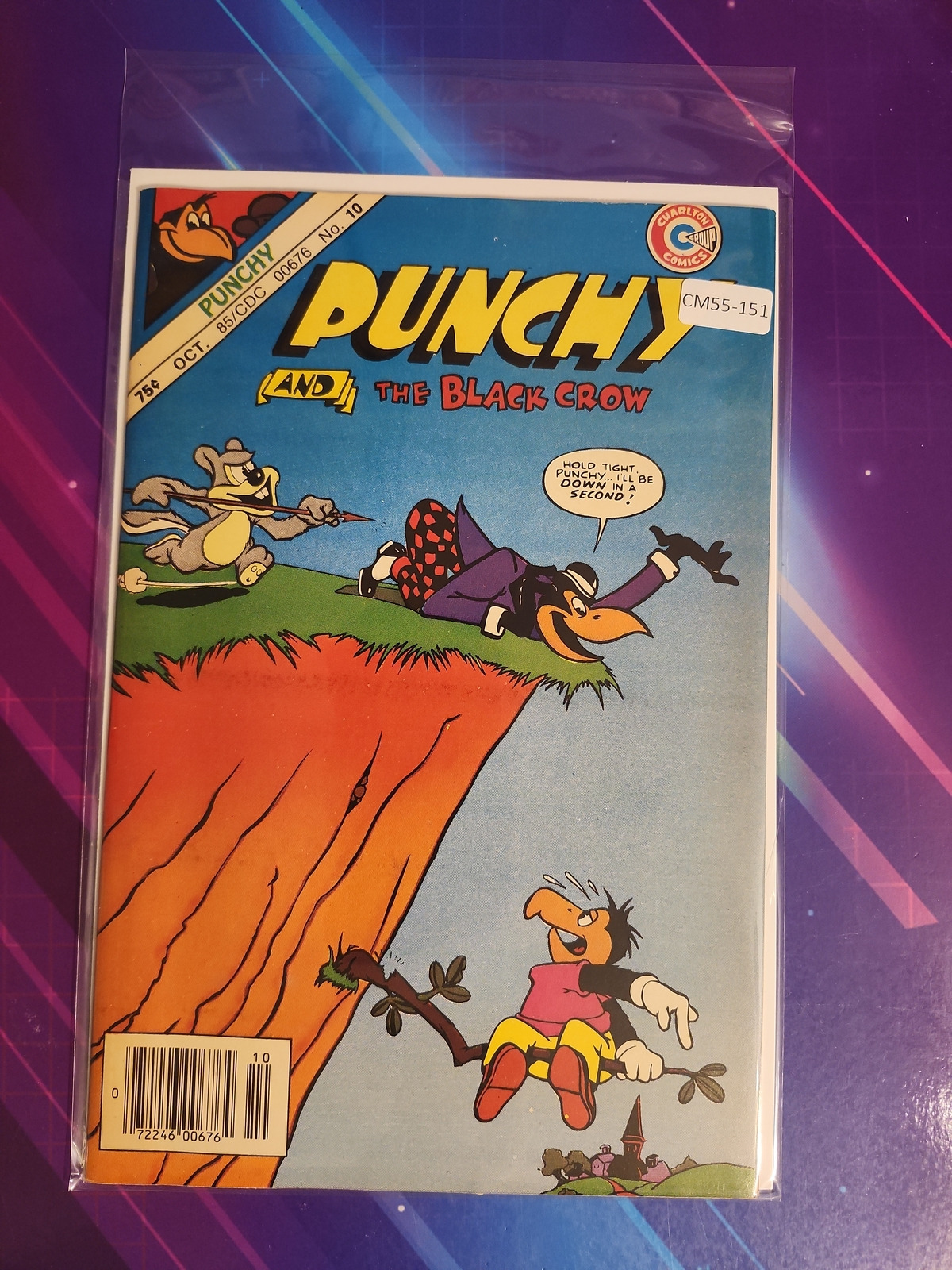 PUNCHY AND THE BLACK CROW #10 HIGH GRADE CHARLTON COMIC BOOK CM55-151