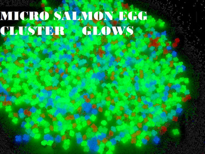 MICRO SALMON EGG CLUSTER Glows Soft Plastic Fishing Lure Bait Crappie Trout