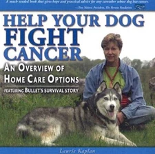 Help Your Dog Fight Cancer: An Overview Of Home Care Options - VERY GOOD
