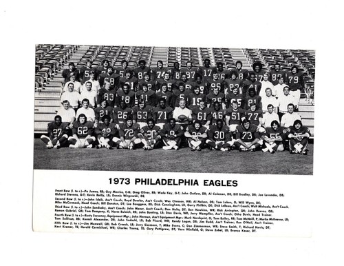 VINTAGE ORIGINAL 1973 PHILADELPHIA EAGLES 6X9 TEAM PHOTO - 第 1/2 張圖片