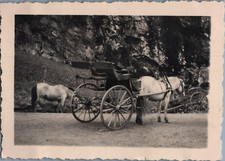 Norvège, Nordfjord, Voiture à cheval, Tirage vintage, ca.1930  Tirage argentiq