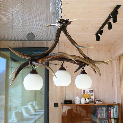Real Antler Pendant Lamp for 3 lights - Picture 4 of 10