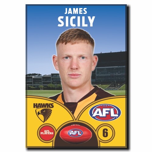 2023 AFL Hawthorn Football Club - SICILY, James - Picture 3 of 12