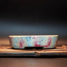 Japanische Bonsai Topf Kato Satomi gerade oval B13,3 cm (5,2 Zoll) | US...