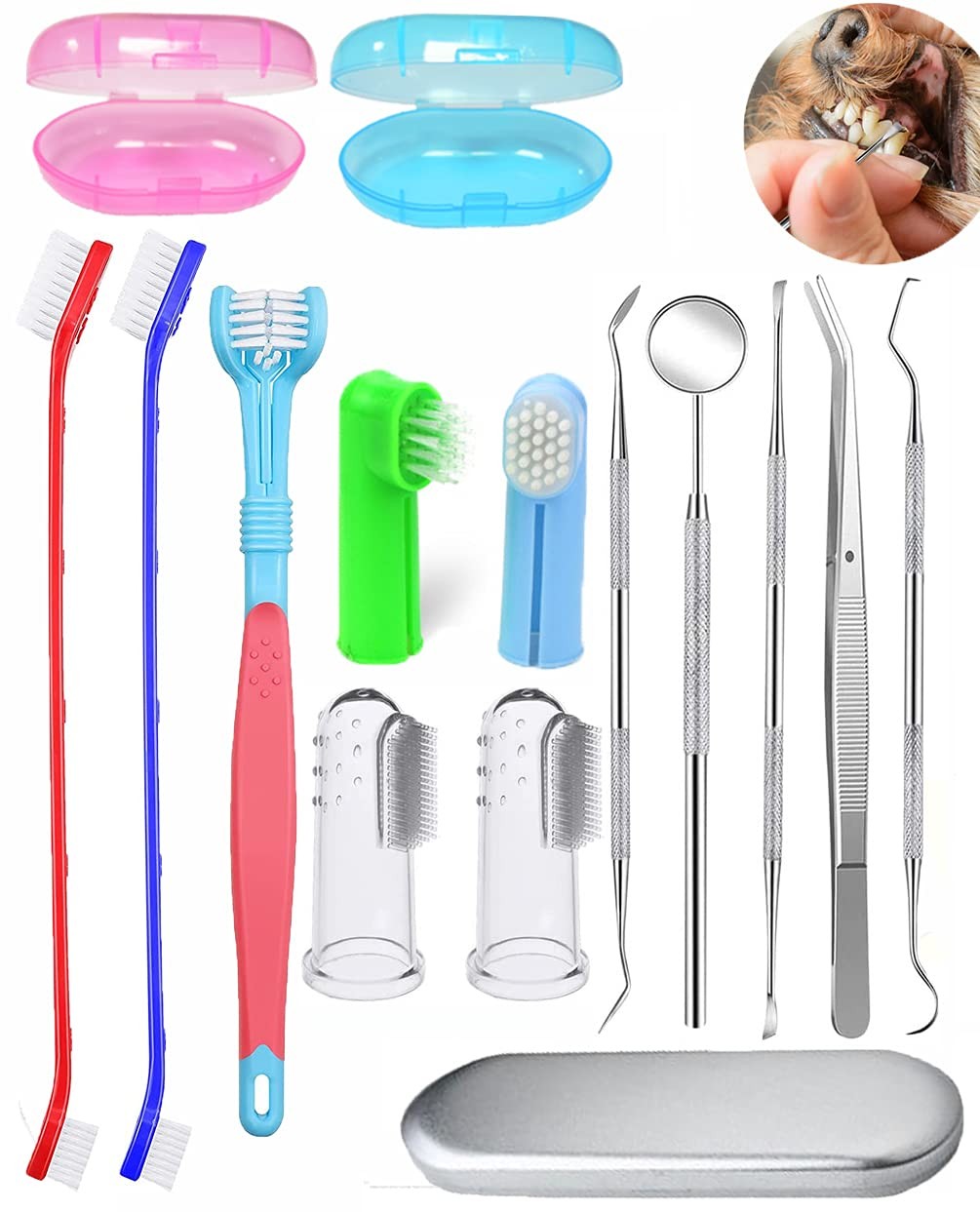 Brosse à dents pour chien Ptcctv kit anti-tartre avec outils métal et doigtier