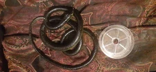 Fake Snake Prank, Gag, Joke, Lifelike, With Long String And Replacement Clip!