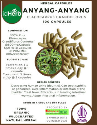 [idHerb] CAPSULES Elaeocarpus Grandiflorus Anyang-Anyang NATURAL ORGANIC  FRESH