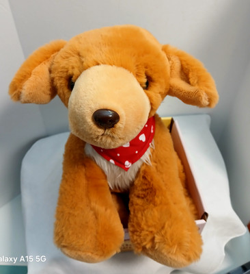 Tiny Love + Carry Huggable Golden Retriever Plush Removable Heat Pack Brand New
