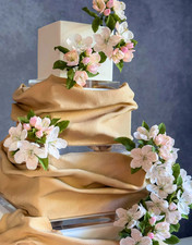 15mm Clear ultra polished acrylic cake separator