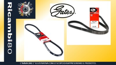 Cinghia Poly-V BOSCH 1 987 947 718 Per Ford, Renault, Wartburg - Foto 10