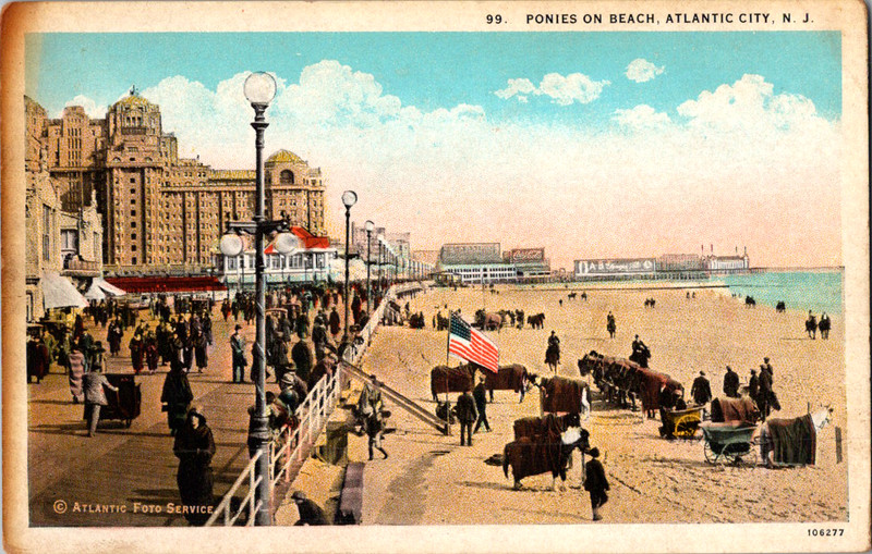 Postcard Ponies On Beach Atlantic City New Jersey **See Photos Before Bidding**