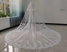 Cathedral Length White Lace Net Wedding Veil