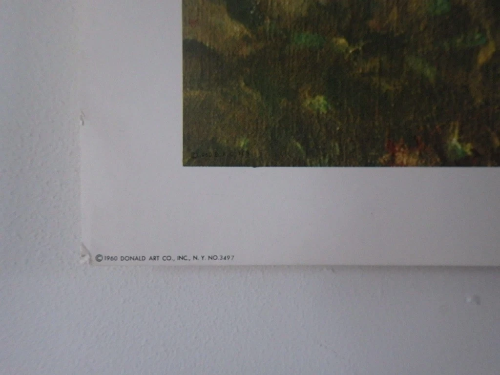 Picture 6 of 10