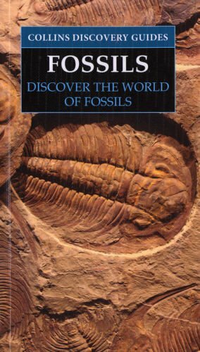 Collins Discovery Guides - Fossils  + FREE P&P