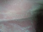 Bild 6 von 7