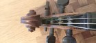 Foto 11 di 14
