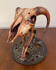 Taxidermy Sculpture Ram Skull Table Mount Gothic Decor Art