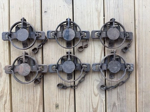 (6) #1  1/2 MONTGOMERY Step-In Coil Spring Round Jaw Traps Fox Raccoon Skunk Lot