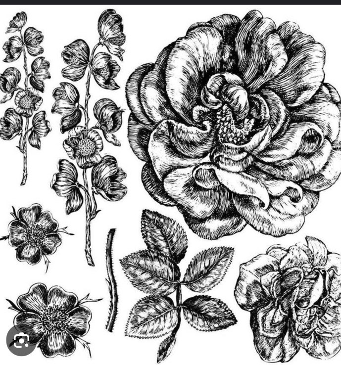 Iron Orchid Designs IOD 2020 RETIRED “Lady Of Shalott” Decor Stamp 2 Sheets H2F