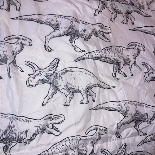 Finta cuscino dinosauro misura standard 30” x 23” - Foto 6 di 9