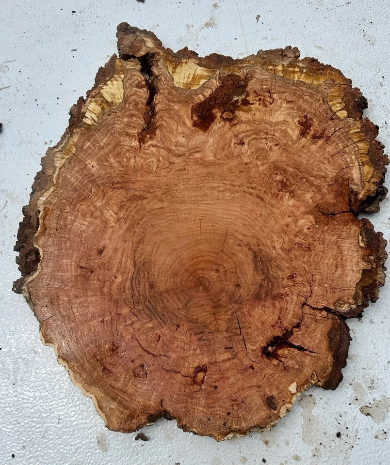 Mesa redonda para carpintería W520 Cherry Burl 19x20x1 ojos de 10-12 mc Foto 2 de 3