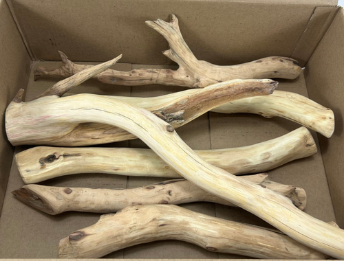 Manzanita Branch Bundle of 6 Perfect for Reptile Logs Bird Perches 16-20" Long - Picture 16 of 16