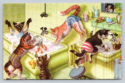 Artist Eugen Hartung Cats Wash Day Gone Wild Gold Fish Mainzer Postcard Belgium