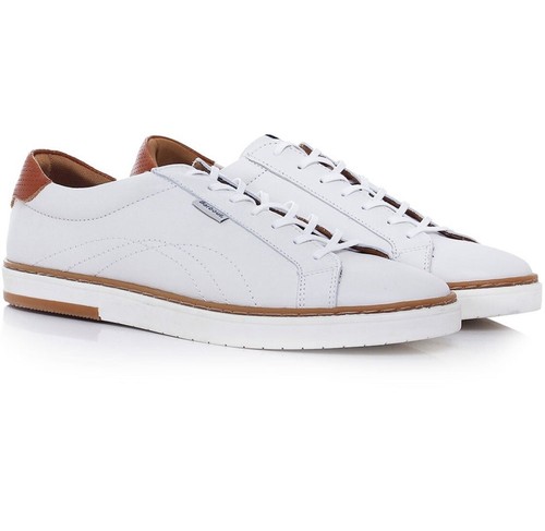 mega bus london to nottingham