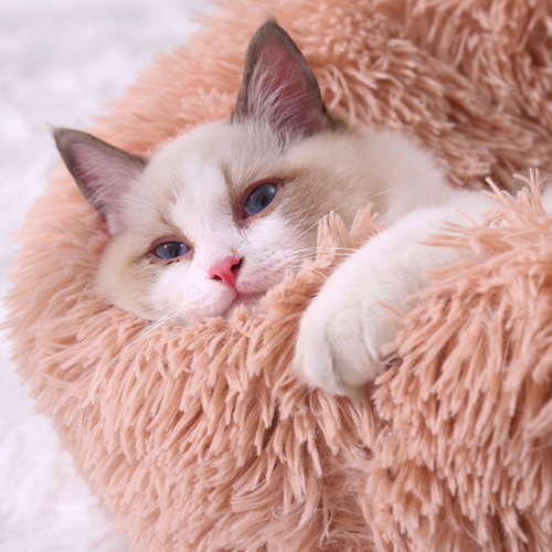 Pet Dog Cat Bed Warm Mat Pad Soft Puppy Calming Bed Sleeping Kennel Nest & Cover - Picture 5 of 10