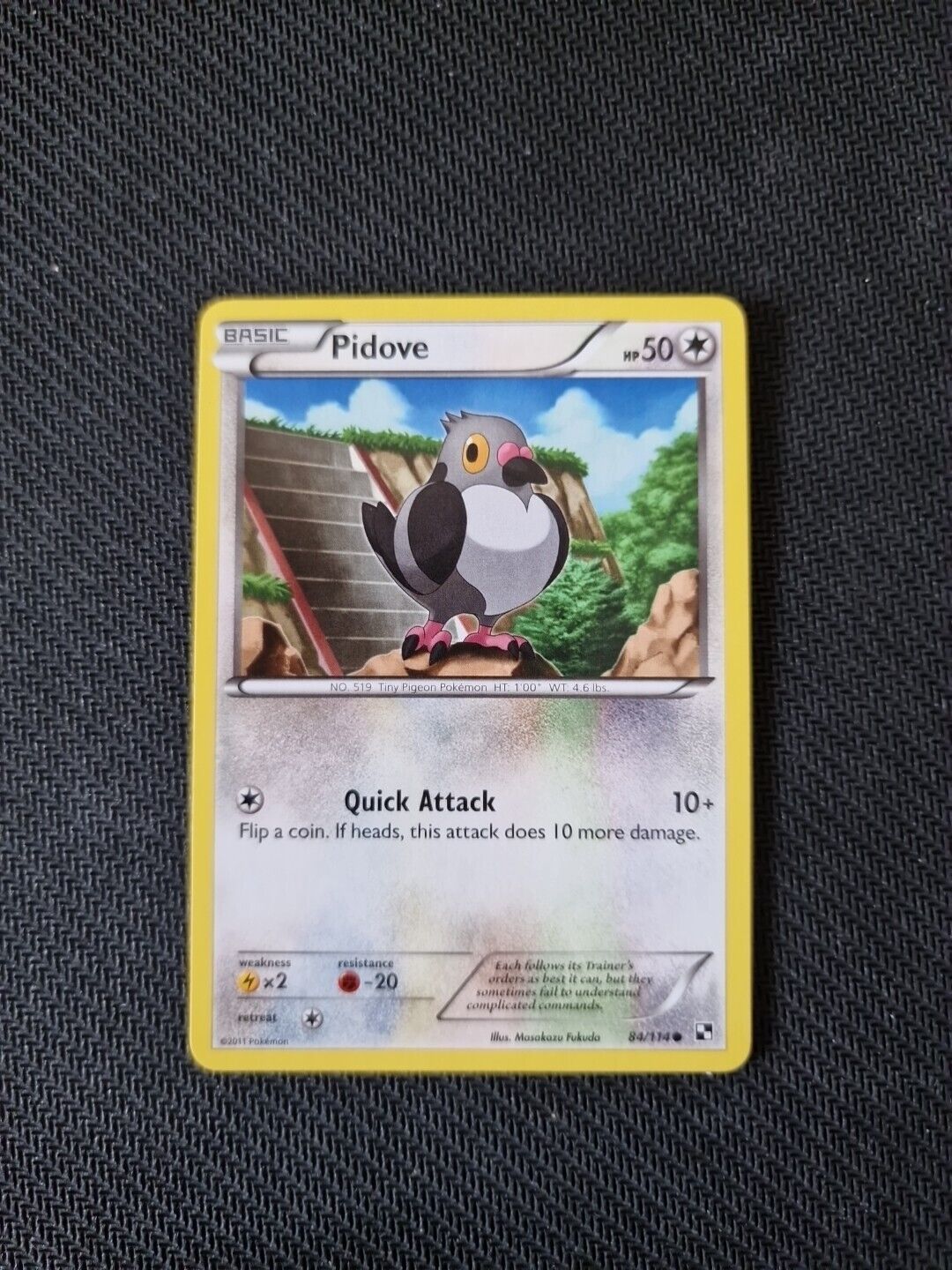 Pidove - 84/114 - Common - Black and White Base - 2010 - Pokémon Card - LP