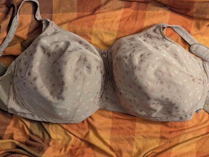 Gently used 48 N Elila bra in nude color. Softcup with no wires. Full coverage