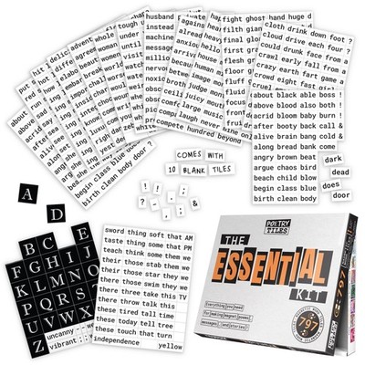 The Essential Kit of Word Magnets - Everything Needed for Fun Fridge Poetry -...