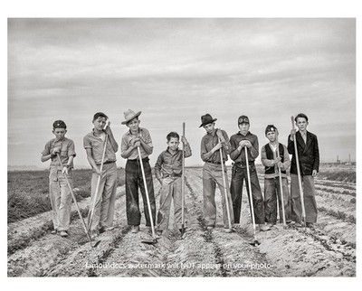 Bros Before Hoes PHOTO Boys Gardening Crops 1942 Arizona Farmers Hoeing Fields